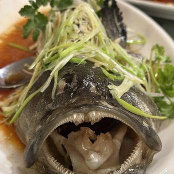 Eastern Dynasty - Monkfish - Cantonese Near Me - San Diego, California Eastern Dynasty - Monkfish - Cantonese Near Me - San Diego, California
