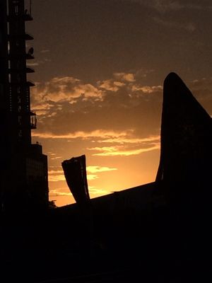 Port of Kobe Earthquake Memorial Park by null