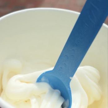 Go Greek Yogurt - Plain tart Greek yogurt - small portion, no topping - Ice Cream & Frozen Yogurt Near Me - Miami, Florida