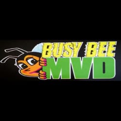 Busy Bee MVD