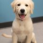 Pets First Veterinary Clinic