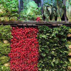 Carnival Fresh Market - Great display.
