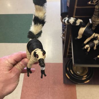 Abilene Zoo - Lemur - Zoos Near Me - Abilene, Texas
