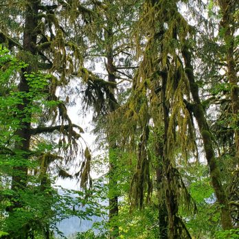 Olympic National Park - Parks Near Me - Port Angeles, Washington