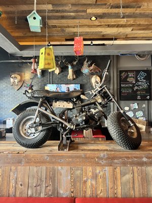Guy Fieri's Dive & Taco Joint by null