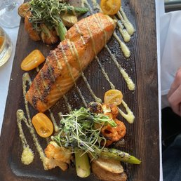 Salmon Salmon