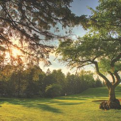 Meadia Heights Golf Club