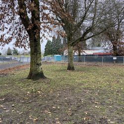 Small dog section at dog park area