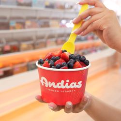 Andias Frozen Yogurt