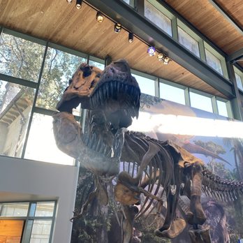 Witte Museum - Museums Near Me - San Antonio, Texas Witte Museum - Museums Near Me - San Antonio, Texas