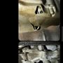 Photo of VCA Auto Body, Repair and Sales
