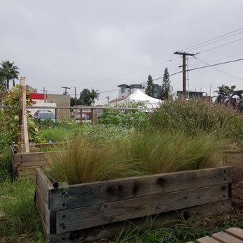 MAKE Cafe - Breakfast & Brunch Near Me - San Diego, California MAKE Cafe - Breakfast & Brunch Near Me - San Diego, California