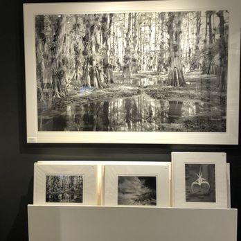 Big Cypress Gallery - Art Galleries Near Me - Ochopee, Florida