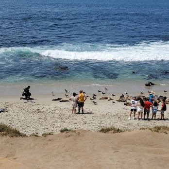 La Jolla Cove - Beach with seals - Parks Near Me - La Jolla, California La Jolla Cove - Beach with seals - Parks Near Me - La Jolla, California