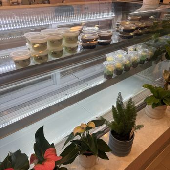 The Yogo - Desserts Near Me - San Diego, California The Yogo - Desserts Near Me - San Diego, California