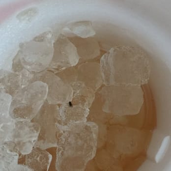 Chick-fil-A - Bug in my sweet tea ! - Fast Food Near Me - Orlando, Florida Chick-fil-A - Bug in my sweet tea ! - Fast Food Near Me - Orlando, Florida