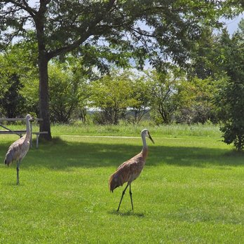 Kettle Moraine State Forest--Southern Unit - Wildlife - Campgrounds Near Me - Dousman, Wisconsin