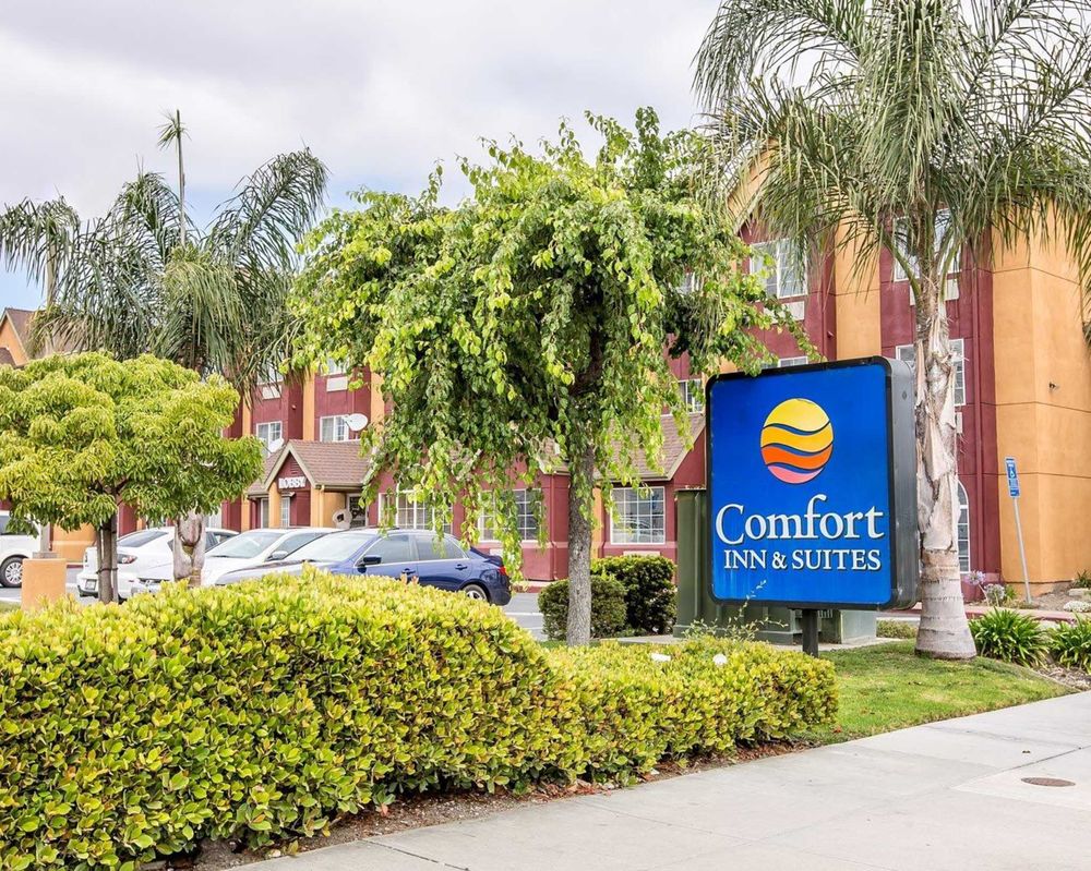 COMFORT INN & SUITES - Updated August 2024 - 34 Photos & 52 Reviews