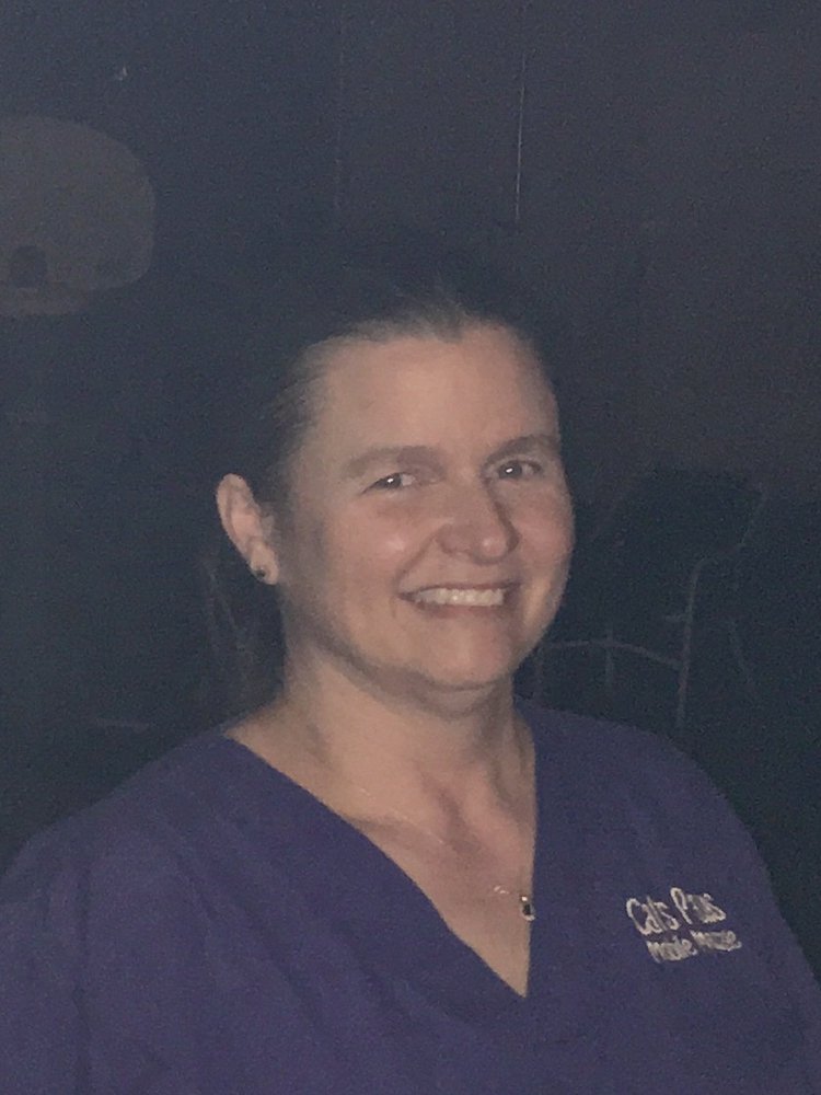 Cat's Paws Mobile Massage Logo