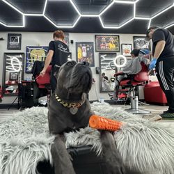 Fresh Cuts Hair Studio