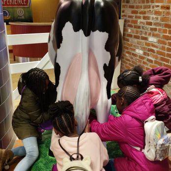 The Turkey Hill Experience - Milking the cow - Ice Cream & Frozen Yogurt Near Me - Columbia, Pennsylvania