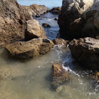 Pirate's Cove Beach - Cool rocks - Beaches Near Me - Newport Beach, California