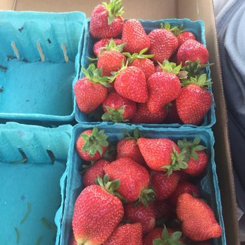 Johnson's Corner Farm - Fruits & Veggies Near Me - Medford, New Jersey Johnson's Corner Farm - Fruits & Veggies Near Me - Medford, New Jersey