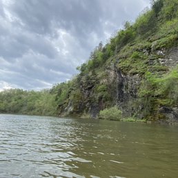Kayaking past the cypress trees. Which are pretty cool to kayak through Kayaking past the cypress trees. Which are pretty cool to kayak through