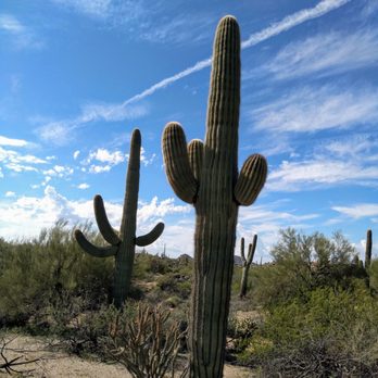 Brown's Ranch Trailhead - Hiking Near Me - Scottsdale, Arizona