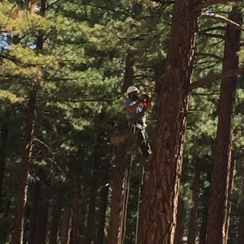 Russells Tree Service - Tree Services Near Me - Reno, Nevada