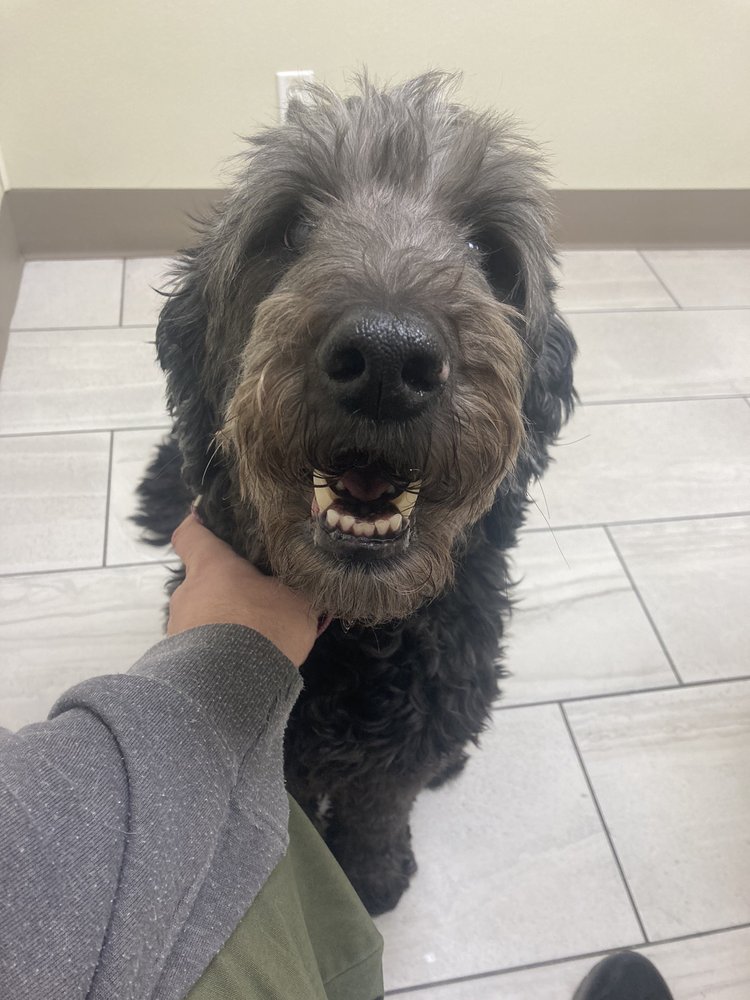 RUTHERFORD VETERINARY CLINIC Updated September 2024 14 Photos & 14