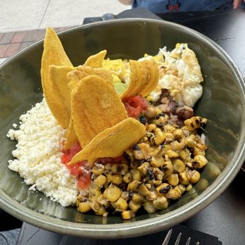 Stemma Craft Coffee - Coffee Roasteries Near Me - Orlando, Florida
