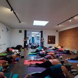 Love Bird Yoga