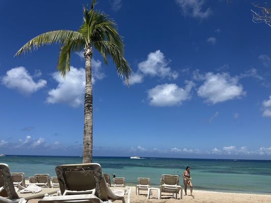 Occidental Cozumel by null