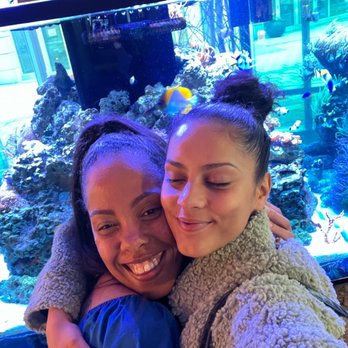 Jacky's Waterplace - We love the fish tank! - Sushi Bars Near Me - Providence, Rhode Island