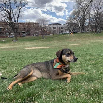 Jefferson Park - Marci enjoying Jeff park! - Parks Near Me - Denver, Colorado Jefferson Park - Marci enjoying Jeff park! - Parks Near Me - Denver, Colorado