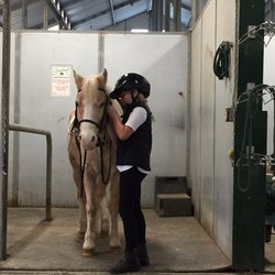 Graceland Equestrian Center - New lesson program includes good horsemanship skills as well as riding.