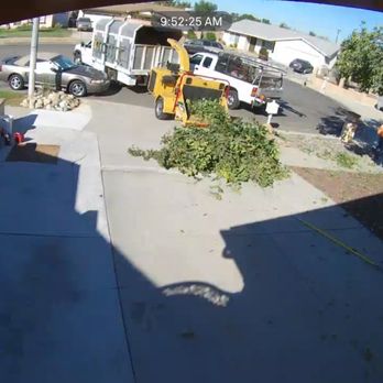 Lucero Tree Service - During - Tree Services Near Me Lucero Tree Service - During - Tree Services Near Me