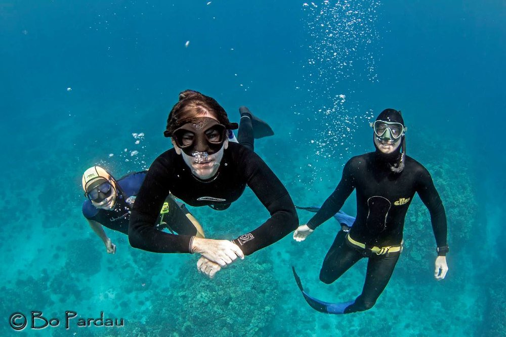Kona Freedivers Logo