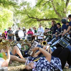 UC Davis Picnic Day