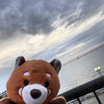 Offshore Rooftop - Beautiful space with amazing views - A plush bear toy is held in front of a waterfront scene with cloudy skies and a railing, possibly at a park or promenade. - New American Near Me - Chicago, Illinois