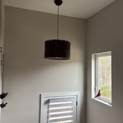 828 Electric - Old dark fixture