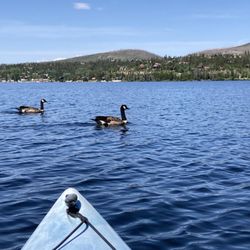 Mountain Paddlers
