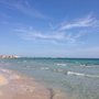 Photo of Platja Sa Rapita