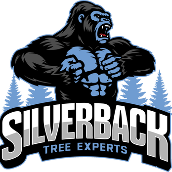 Silverback Tree Experts - Tree Services Near Me Silverback Tree Experts - Tree Services Near Me