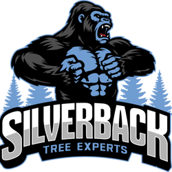 Silverback Tree Experts