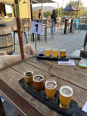 Pedals & Pints Brewing Company by null