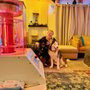 Ensele Pet Care