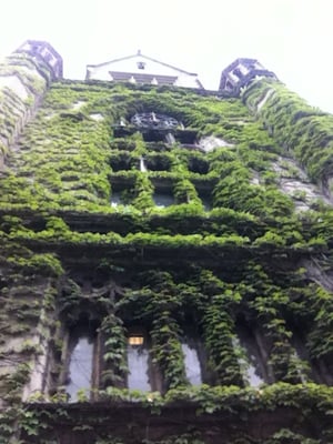 The Renaissance Society by null