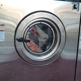 Eight load washer